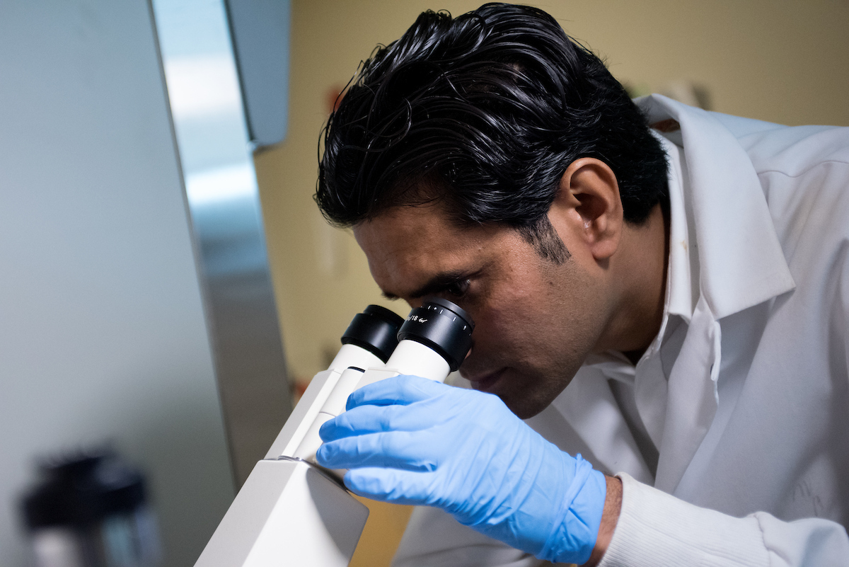 Scientist looking through microscrope