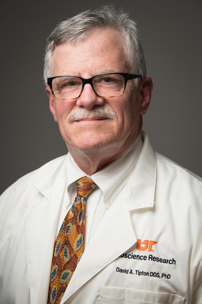 david tipton
