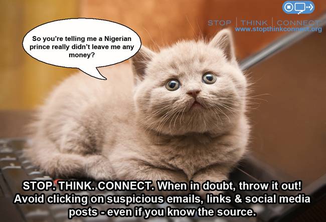 Meme of a cat saying the Nigerian prince didn't really leave money?