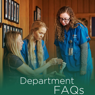 Department FAQs
