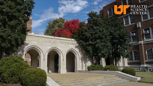 UTHSC Zoom/Teams background with view of arches and stairs.