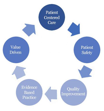 patient centered care, patient safety, quality improvement, evidence based practice, and value driven