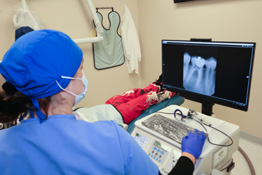 Endodontist looking at xrays of a patient's teeth in the endodontics clinic.