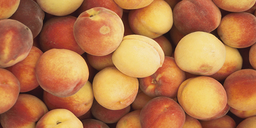 Keeping Up With Fit Blue