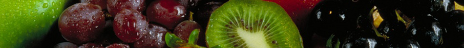 Banner photo