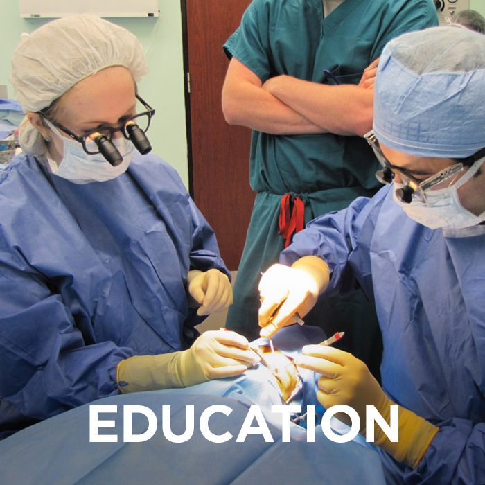 Ophthalmology faculty performing procedure with the word "education" over the image. Click this image to visit pages on education at Hamilton Eye.