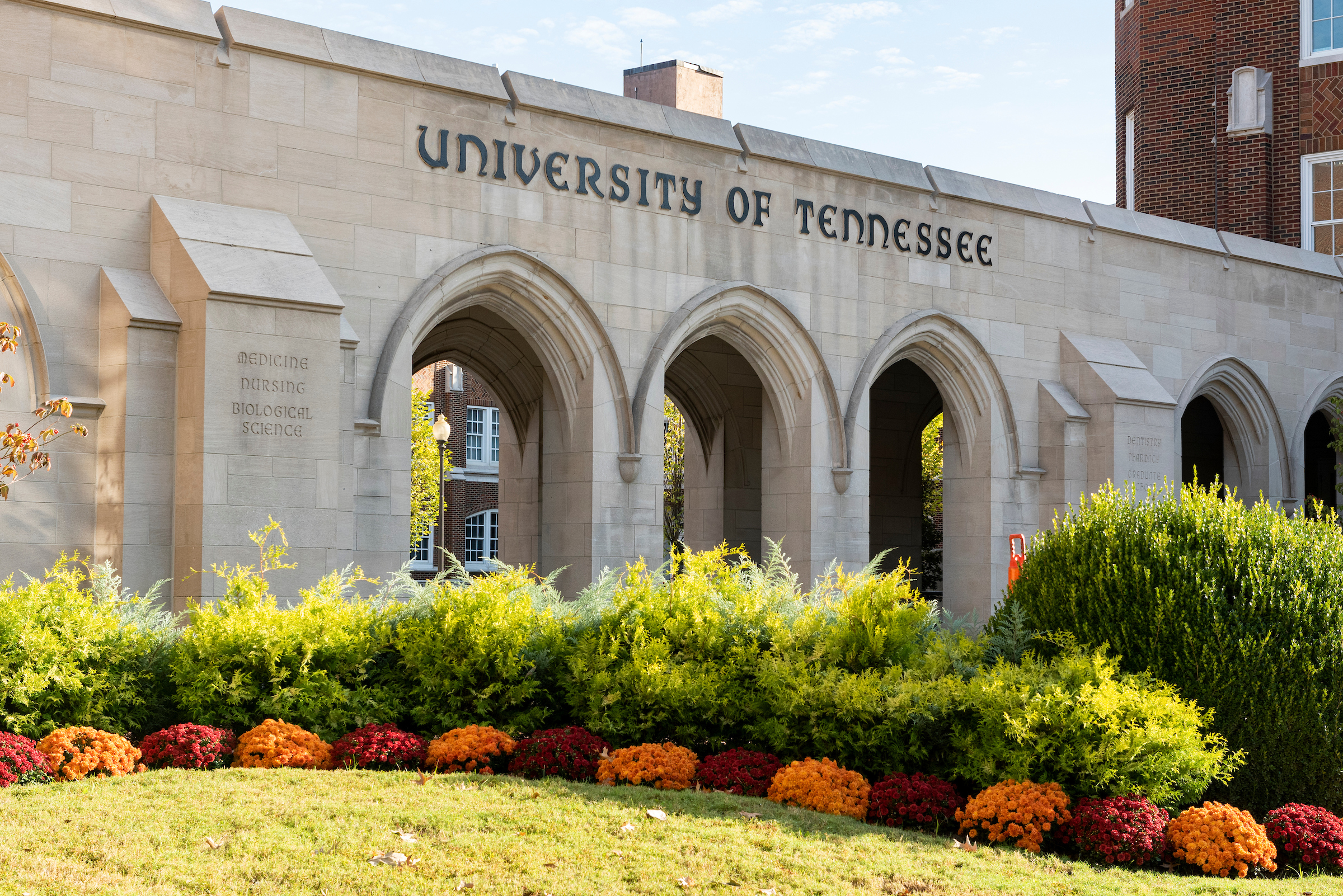 university of tennessee health science center building arches