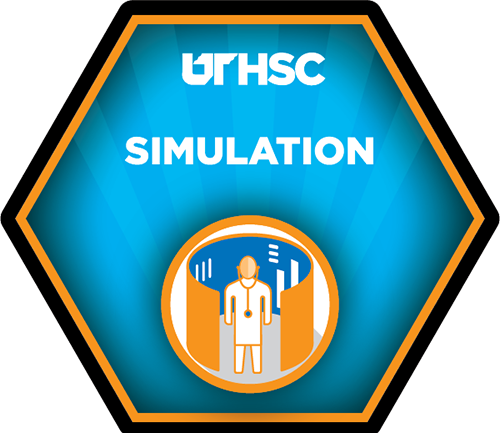 Medallion image for Simulation