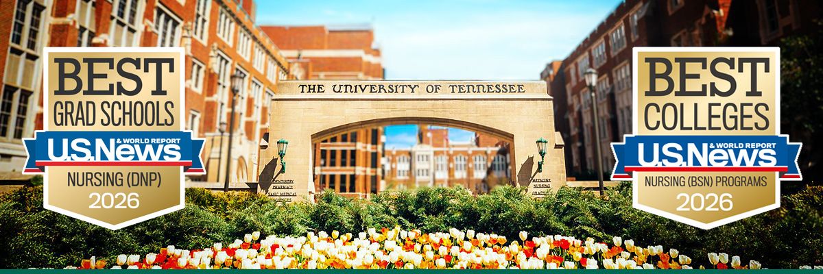 univeristy arch with bsn and dnp ranking badges