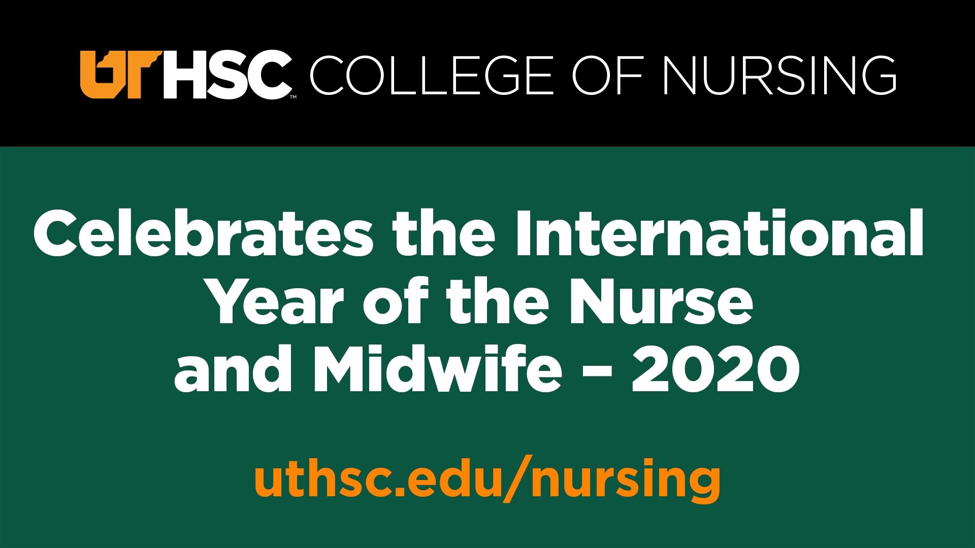 graphic of year of the nurse and midwife