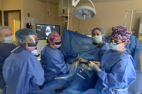 Fellows in the operating room