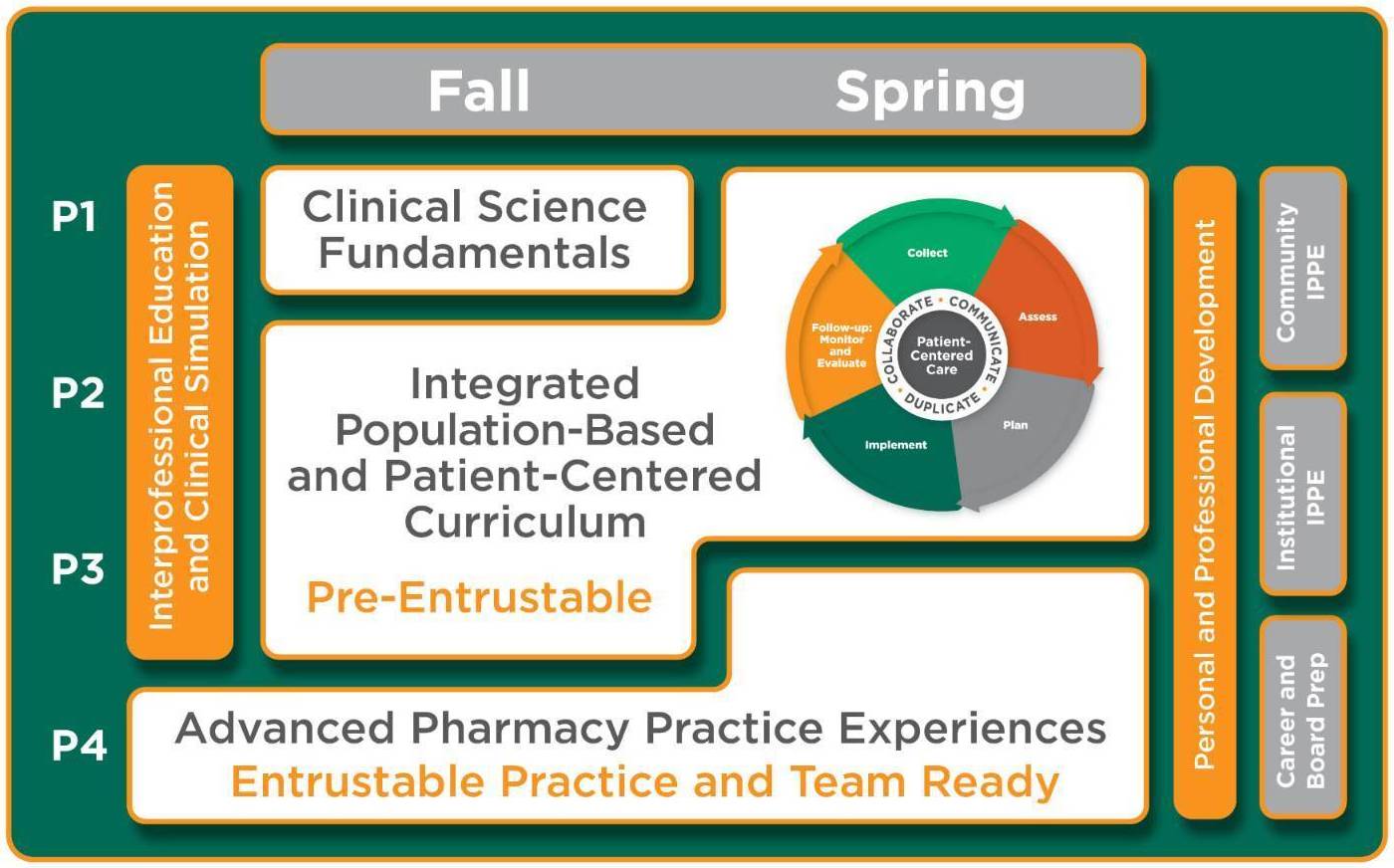 4UT infographic. Clinical Sciences Fundamentals - Fall of P1 year. Integrated population-based and patient-workflow fundamentas - Spring P2-Spring P3. APPE - Fall P3-Spring P4
