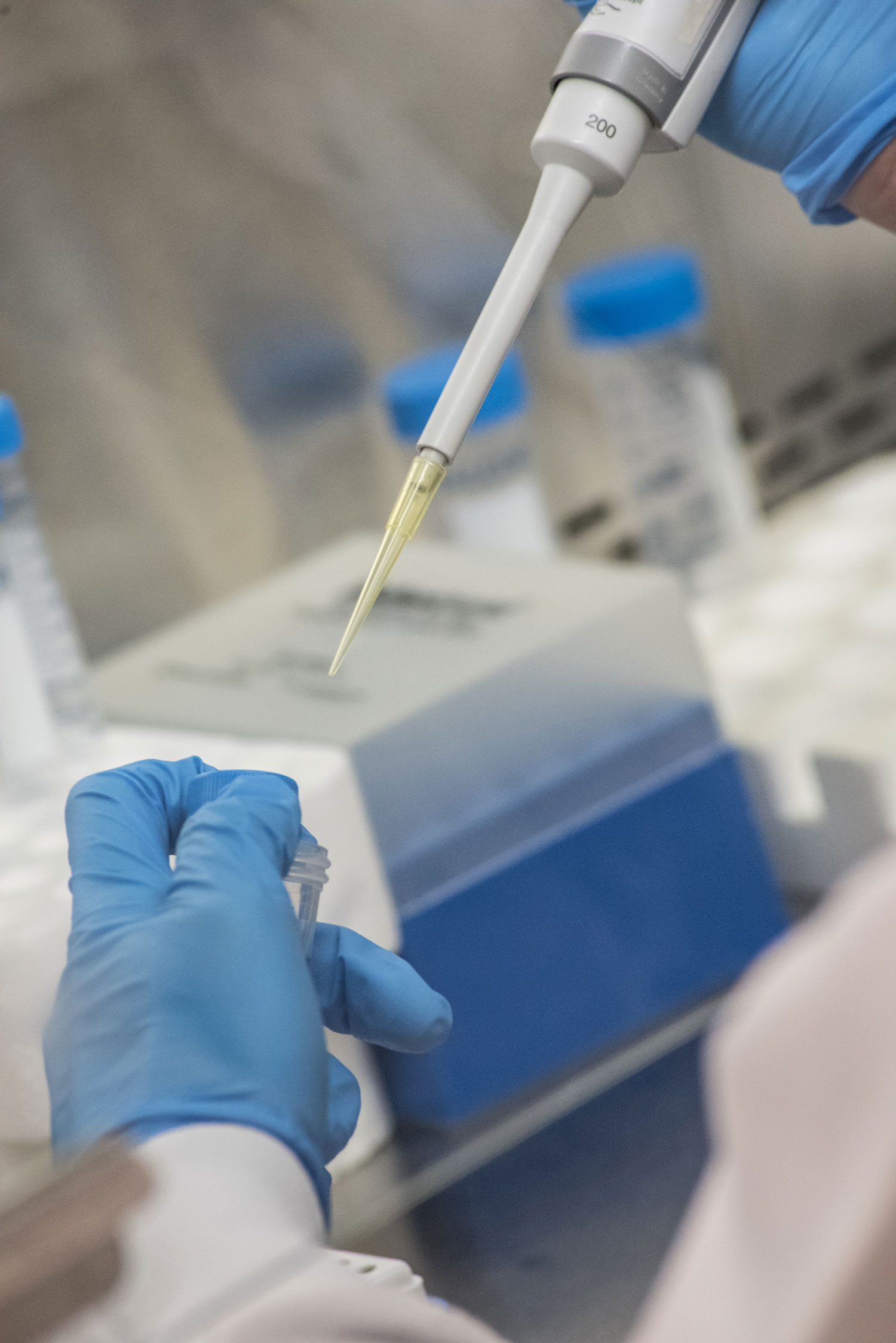 Hands holding a research test tube.