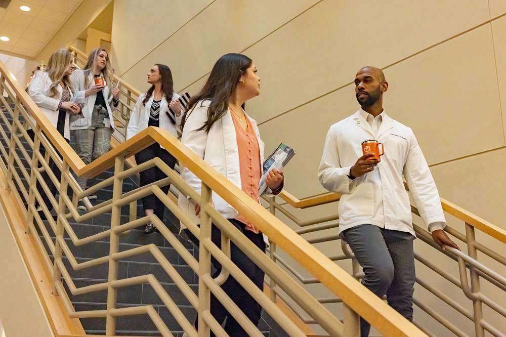 Pharmacy students walk down building stairs.