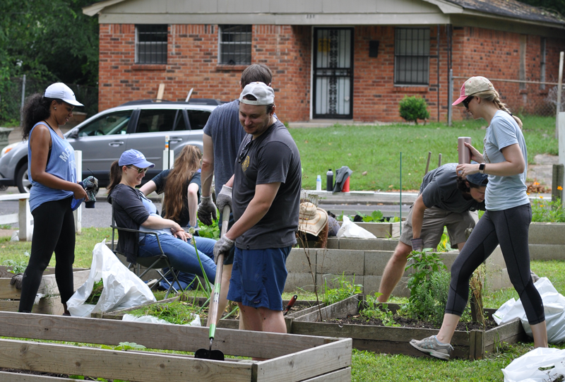 Residents working in a garden