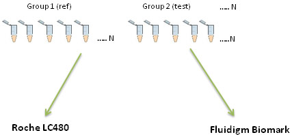 real time pcr diagram