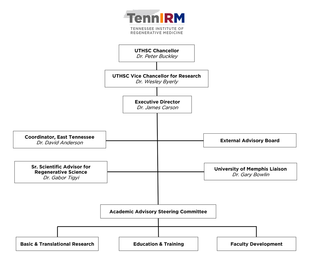 tennirm org chart