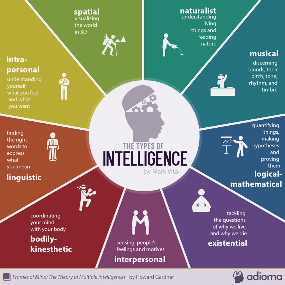 Types of Intelligence Image